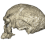 image10.png
