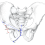 image3.png